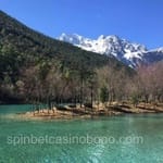 Avatar de Carolina Sandoval