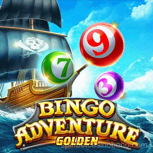 Bingo Adventure