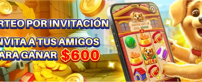 Tragamonedas premium en Spinbet